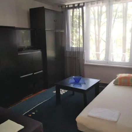 Apartment Stan Visnjik *